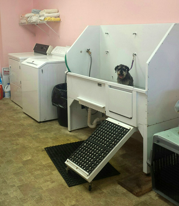 Pink Shears Pet Grooming Dog Boarding Shawano, WI