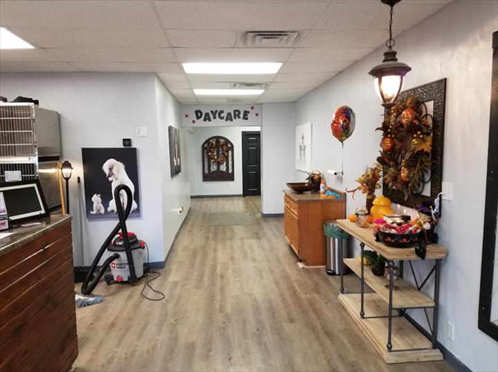 Pink Shears Pet Grooming Shawano, WI